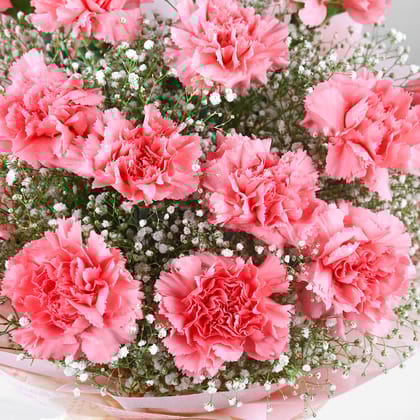 Love For Pastel Carnations Bouquet Love For Pastel Carnations Bouquet