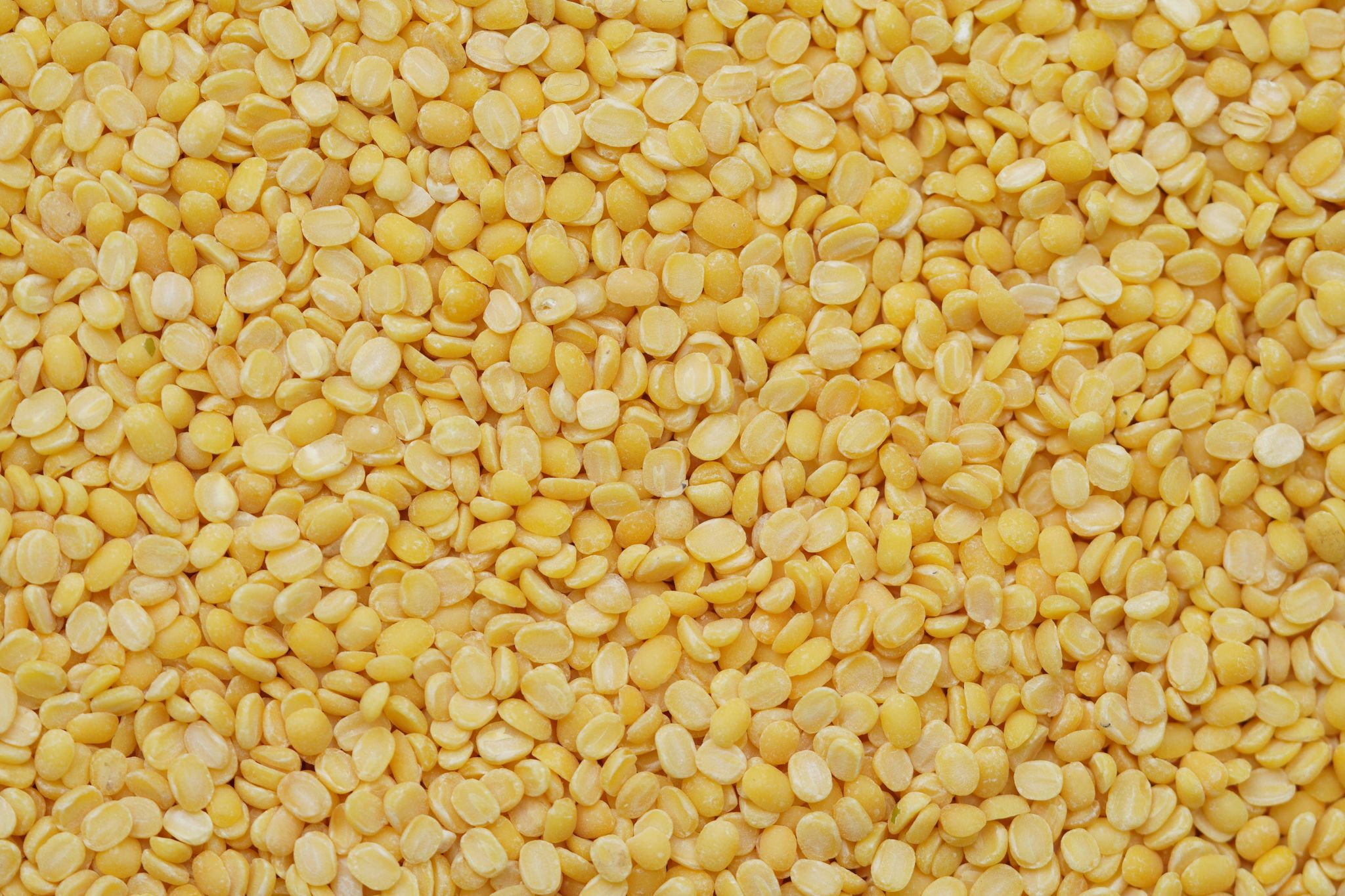 Moong Dal Split