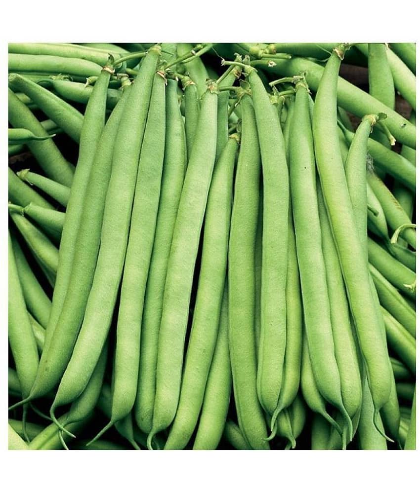 Vedhahi French Beans Vegetable ( 40 Seeds )