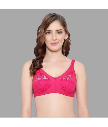 KYODO Cotton Blend Non Padded Women's Everyday Bra ( Magenta )