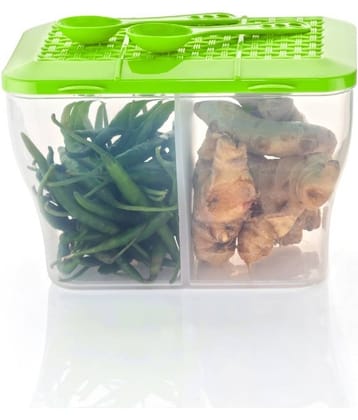 MAGICSPOON Fridge Storage Plastic Green Utility Container ( Set of 1 )