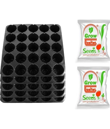 Grow Basket - Amaranthus Vegetable ( 2 Seeds )