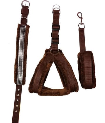 Petshop7 - Brown Dog Combo (Large)