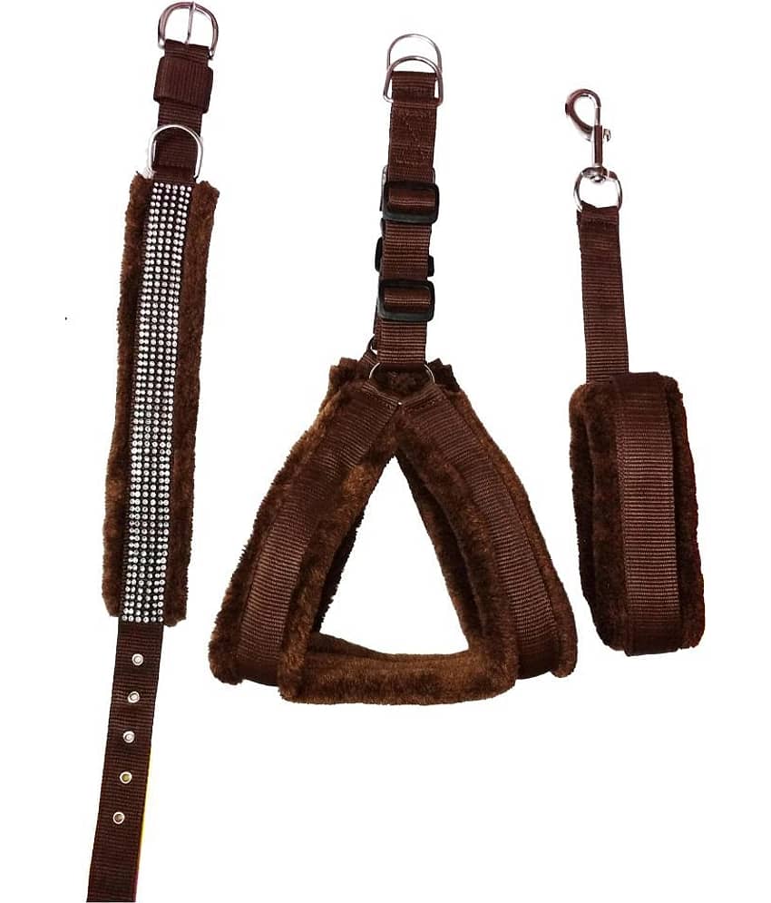 Petshop7 - Brown Dog Combo (Large)