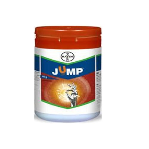 JUMP