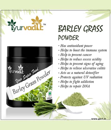 Iyurvadik Pure Barley Grass Powder Powder 250 Gm Pack of 1