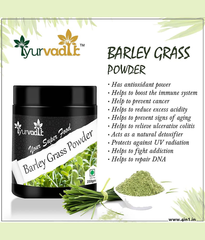 Iyurvadik Pure Barley Grass Powder Powder 250 Gm Pack of 1