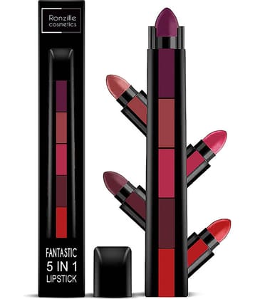 Ronzille Fantastic 5in1 lipstick Shade-C(Pack of 1)