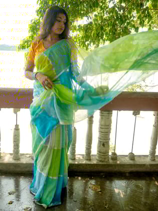 Love of nature Linen Saree