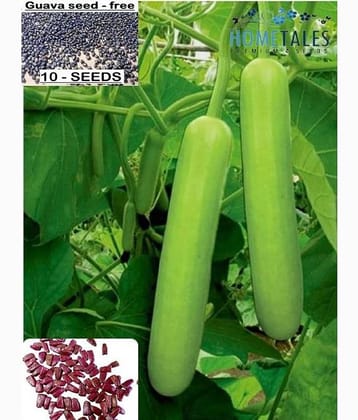 homeagro- Bottle Gourd Vegetable Seeds (Pack of 10)