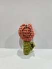 ... ...