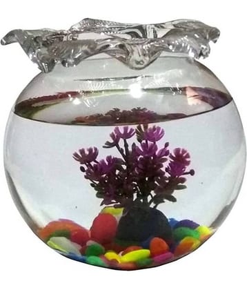 AFAST Clear & Transparent Round Glass Fish Tank/Pot For Joom View With Designer Neck & DecorativeAccessories Of 8 Inch Table Top-fb06 | Aquarium Tank