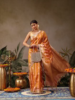 Orange Banarasi Tissue Silk Saree with Silver Zari