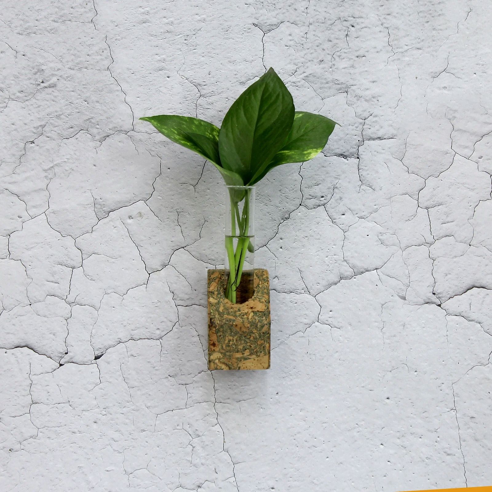 The Mohraj Cork Tapered Fridge Planter