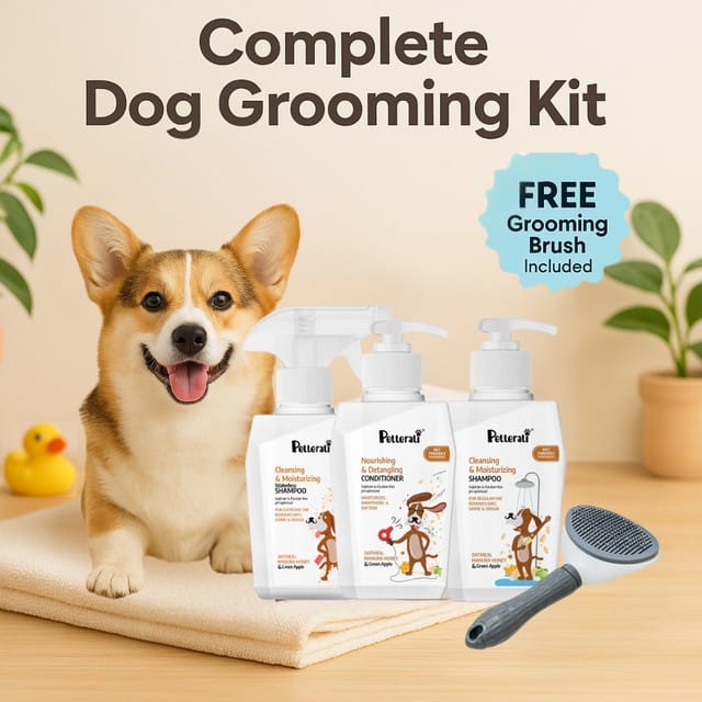 Petterati Complete Dog Grooming Kit, Waterless Shampoo, Cleansing & Moisturizing Shampoo, Detangling Conditioner (400ml Each) + Deshedding Brush, Tangle-Free, Soft & Healthy Coat