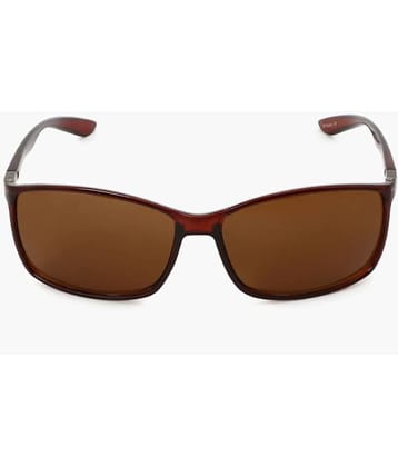 Roadies - Brown Square Sunglasses ( Pack of 1 )