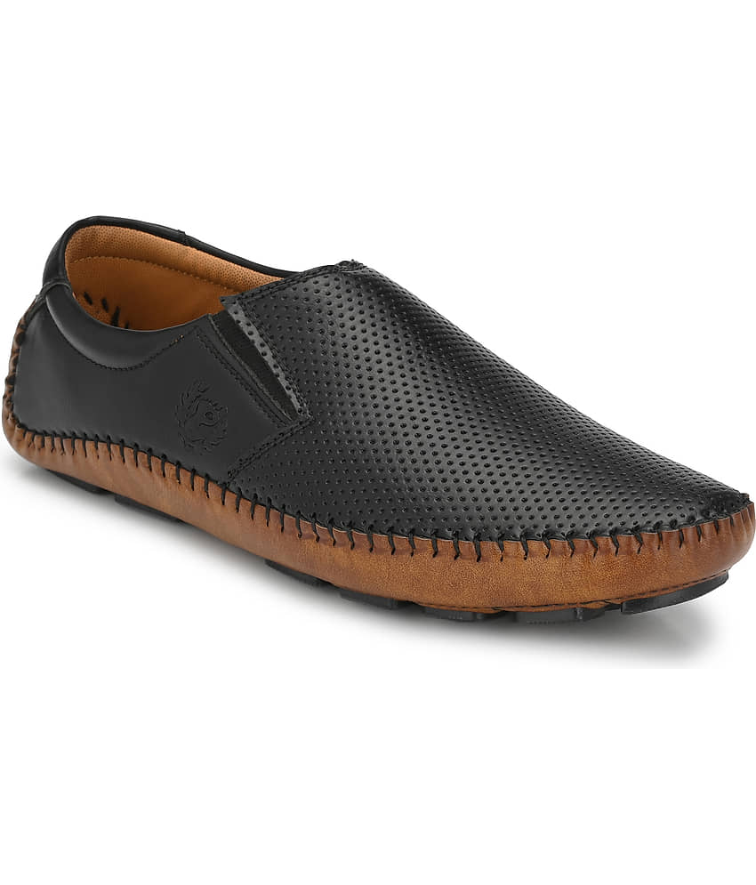 Prolific Black Loafers