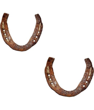 STAR SHINE Original Kale Ghod Ki Naal/ Black Horse Shoe for Good Luck And Restrict Bad/Evil Energy(SET OF 2)