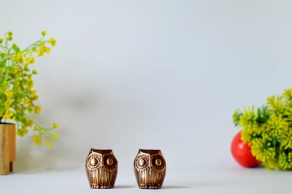 Brass Owl Decor with big eyes Showpiece (Color - Golden, Size - 2H *1.75L*1.75B) by Snova Enterprises