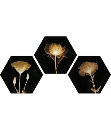 Indianara Hexagon Paintings MDF Painting Without Frame