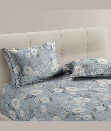 Apala Sky Blue Microfiber 1 Double King Bedsheet with 2 Pillow Covers ( 254 cm x 228 cm )