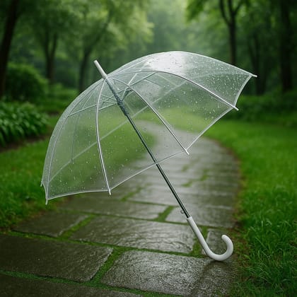 Premium Transparent Dome Umbrella with Curved Handle (1 Pc)