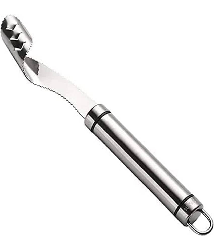 GLOWELL Silver Stainless Steel Vegetable Peeler ( Pack of 1 )