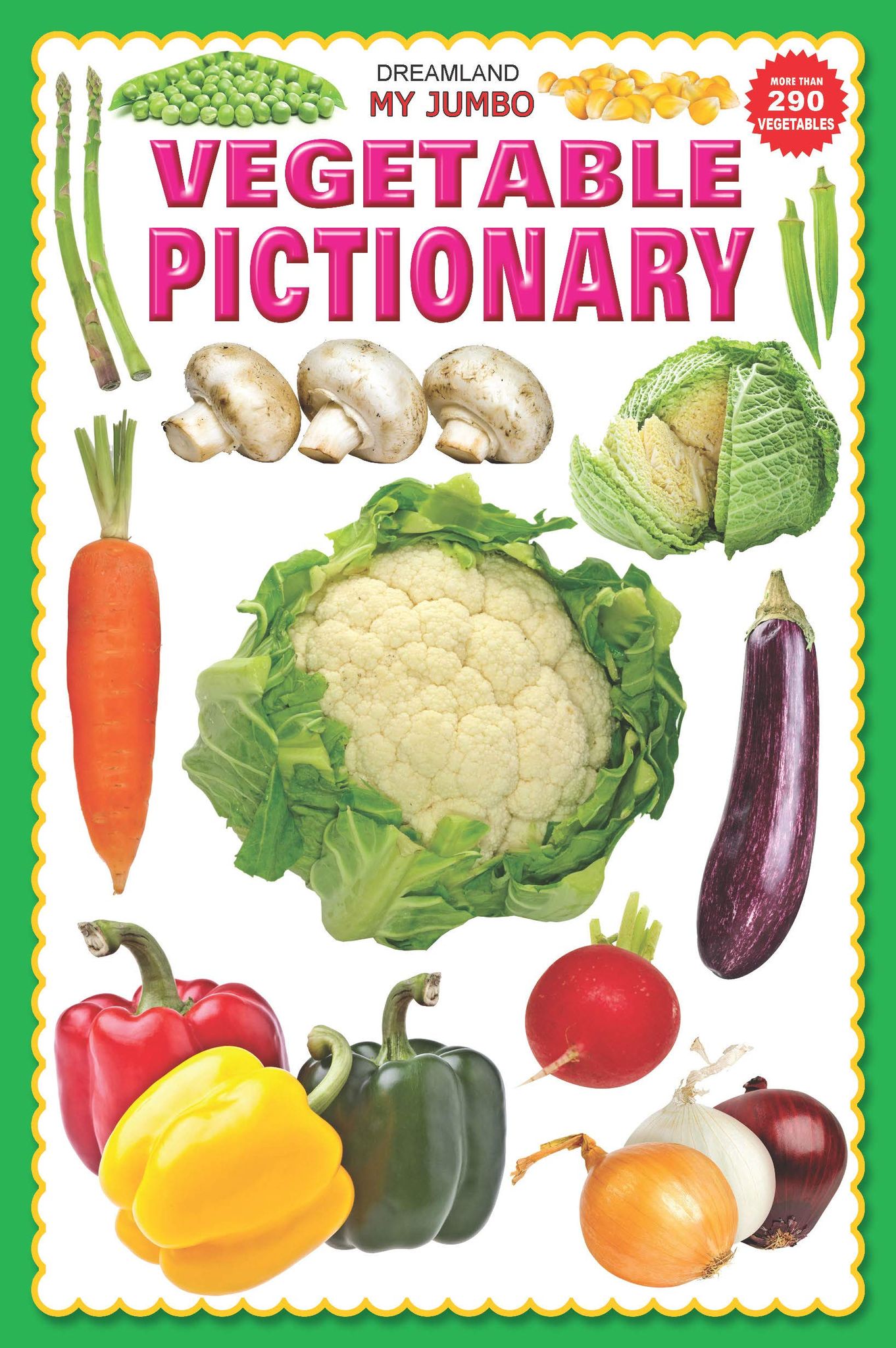 My Jumbo Vegetable Picture [Paperback] Dreamland Publications