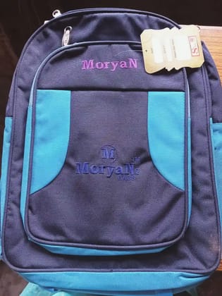 Stylish School Bags for Students on the Go