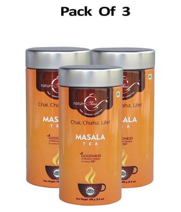 nature Chai Masala Chai Loose Leaf 100 gm Pack of 3