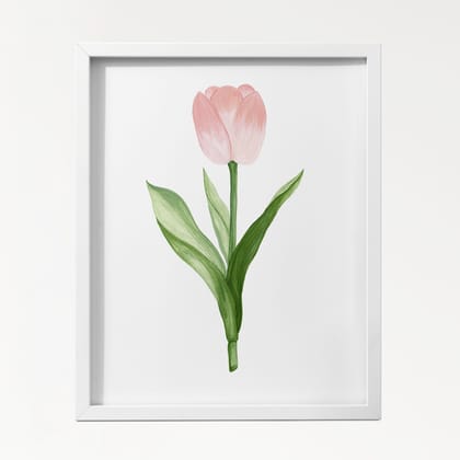 Tulip Botanical Art Print | Wall Art-8x10 inches / White Frame