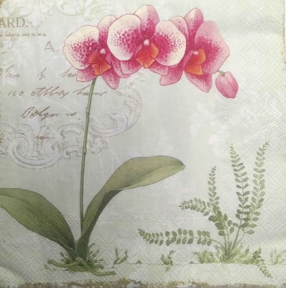 Decoupage Napkin / Tissue papers - GT1923
