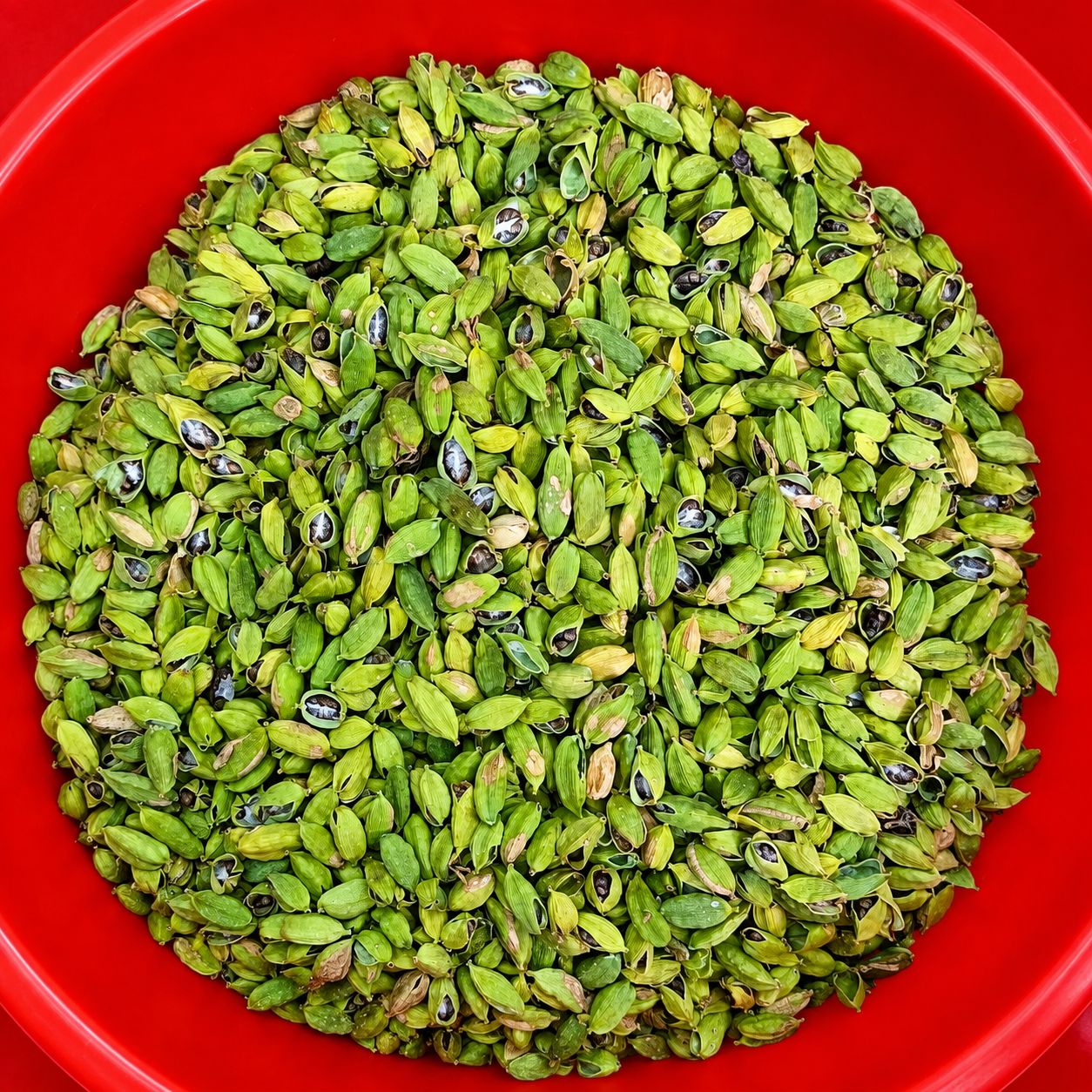 Green Cardamom Bulk Rejection 6to 10 mm