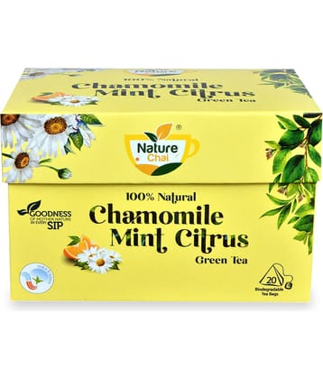 NATURE CHAI Chamomile Tea Bags 100 gm