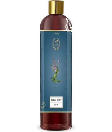 Agri Club Pudina Water 500 ML