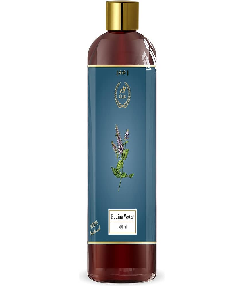 Agri Club Pudina Water 500 ML