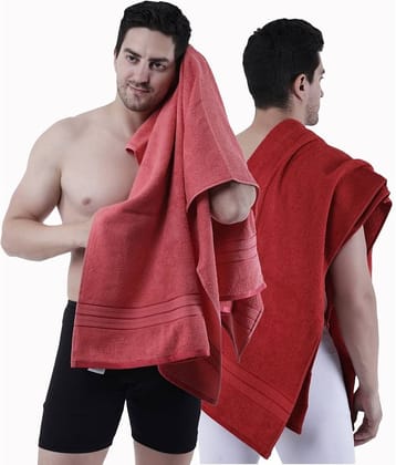 Dollar Cotton Striped 500 -GSM Bath Towel ( Pack of 2 ) - Multicolor