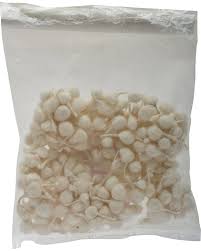 FULVATI KAPUS BIG REFILL RS.40