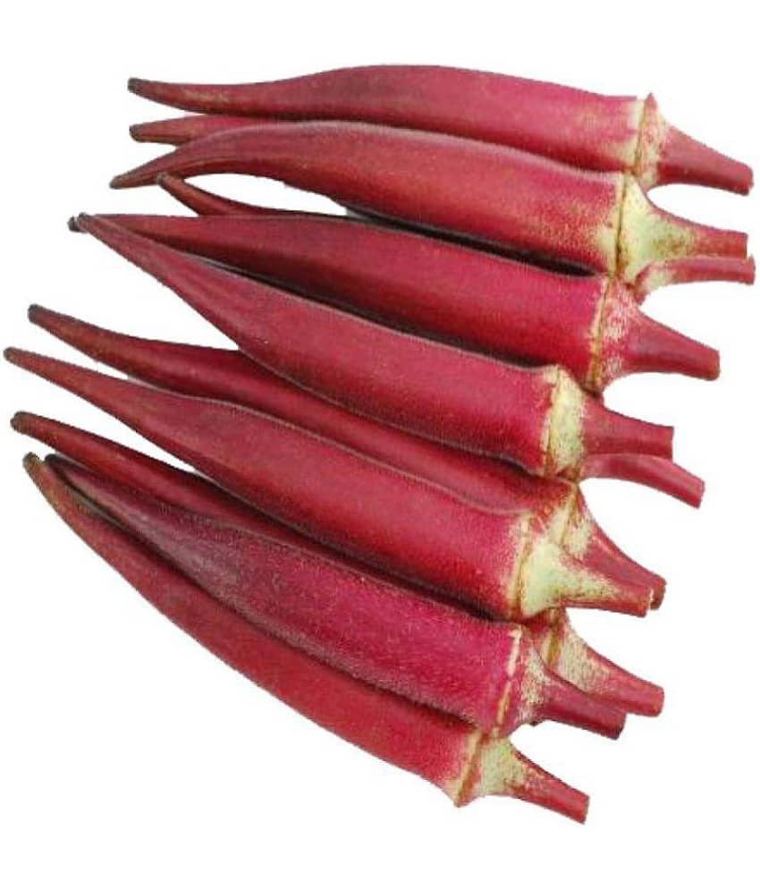Nema Red Okra Seeds - 20 Pcs