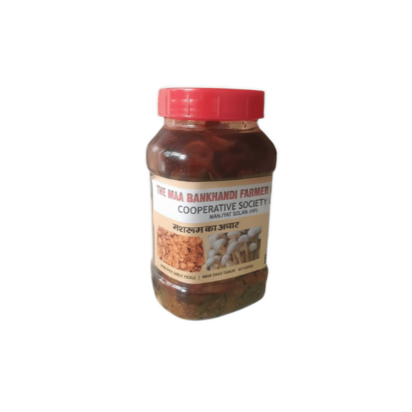 Mushroom Pickle - 500 gm