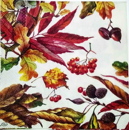 Decoupage Napkin / Tissue papers - 25cm*25cm - GT3209
