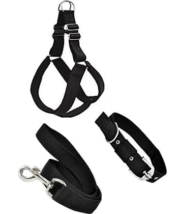 Smart Doggie - Black Dog Combo (Small)