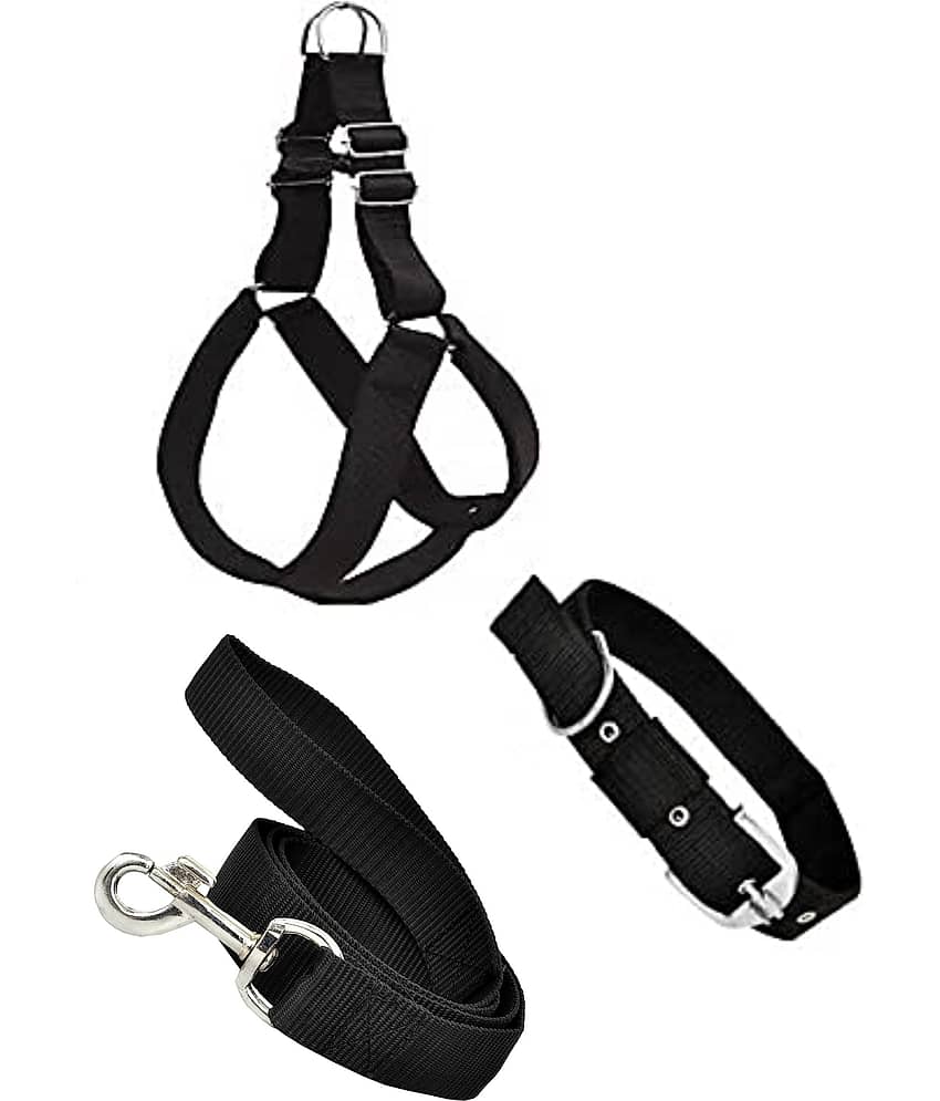 Smart Doggie - Black Dog Combo (Small)