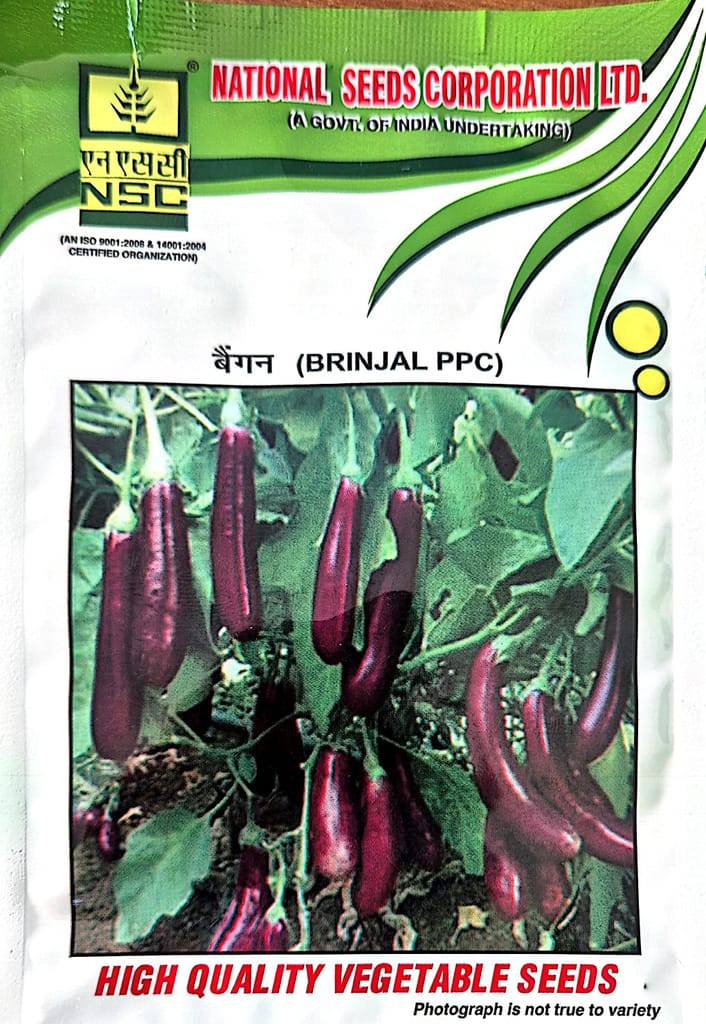 Nsc brinjal ppc – 10 g