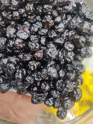 NUTZ PLUZ DELIGHTZ DRIED BLUEBERRIES 1000g