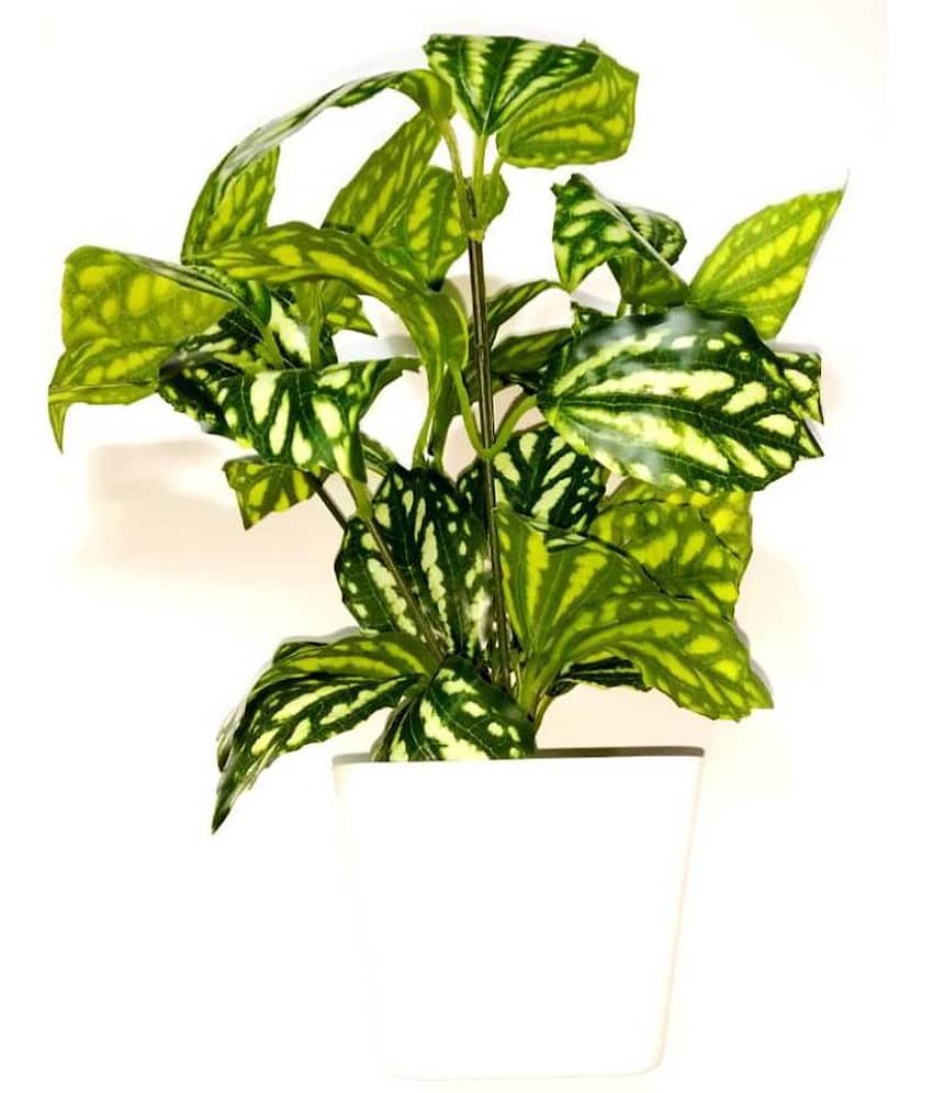 Green plant indoor Artificial Bonsai Plants with Pot Green Bonsai Plastic - Pack of 1