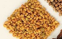 Fenugreek Seeds