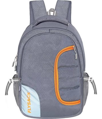 FLYSACK Silver PU Backpack ( 35 Ltrs )