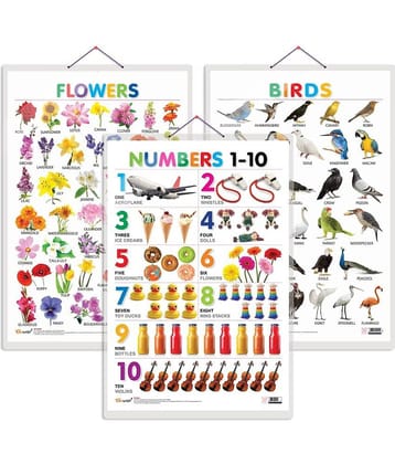 Set of 3 Birds, Flowers and Numbers 1-10 Early Learning Educational Charts for Kids | 20"X30" inch |Non-Tearable and Waterproof | Double Sided Laminated | Perfect for Homeschooling, Kindergarten and Nursery Students