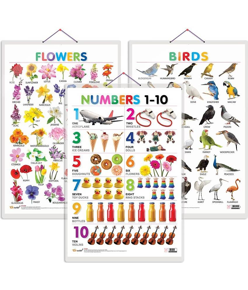 Set of 3 Birds, Flowers and Numbers 1-10 Early Learning Educational Charts for Kids | 20"X30" inch |Non-Tearable and Waterproof | Double Sided Laminated | Perfect for Homeschooling, Kindergarten and Nursery Students